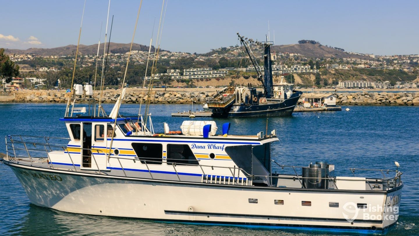 New San Mateo Sportfishing Dana Wharf Sportfishing