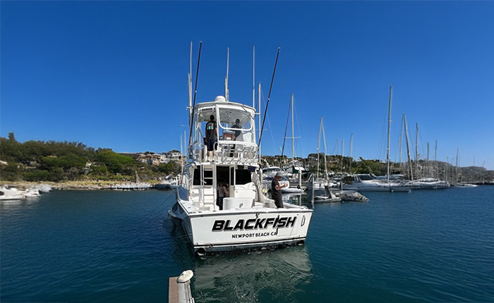 Blackfish Sportfishing