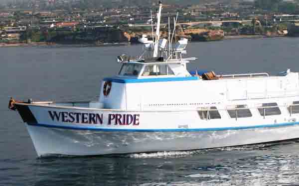 western Pride sportfishing